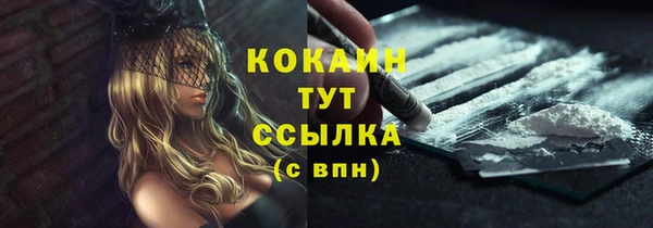 твердый Ладушкин