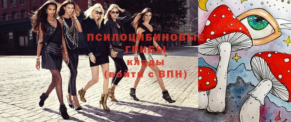 мдпв Лагань