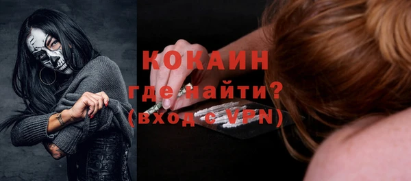 твердый Ладушкин