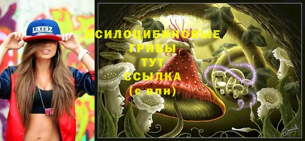 твердый Ладушкин